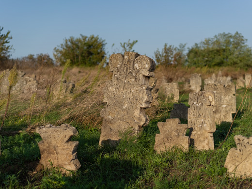 Kobisnica